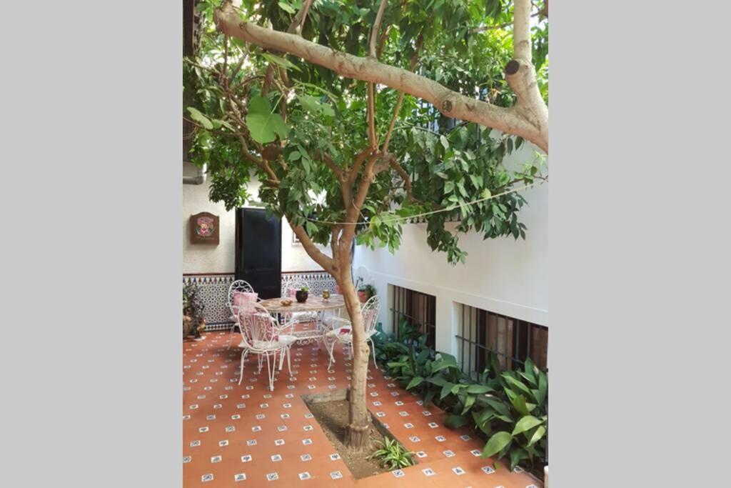 Casa En Granada Con Jardin, Facil Aparcamiento Calle Villa Eksteriør billede